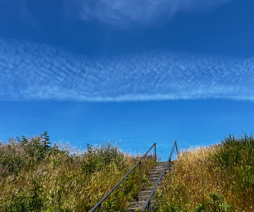 Trails in The Sky